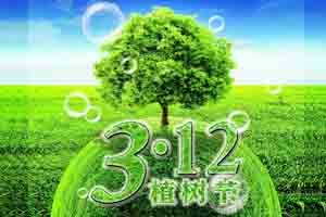 【節(jié)日】又是一年植樹節(jié)！