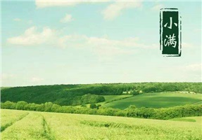 【節(jié)氣】今天，小滿撞上“520”！小得盈滿，守望幸福