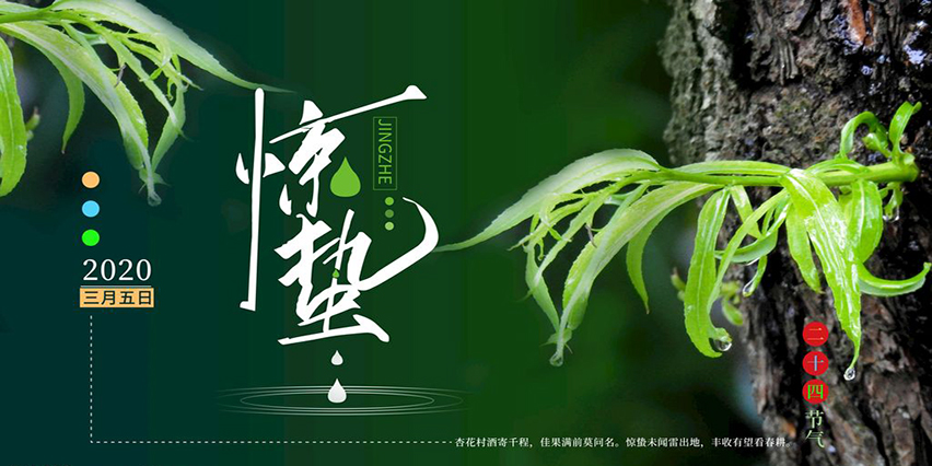 【節(jié)氣】今日驚蟄，我們定將戰(zhàn)勝疫情，走向春天